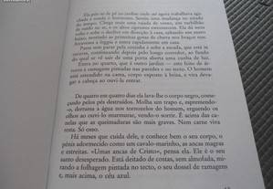 imagem_5