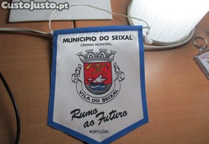 imagem_1