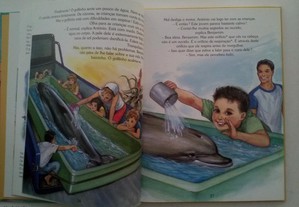 imagem_3