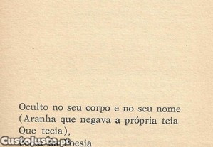 imagem_7