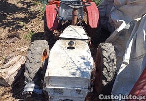 imagem_3