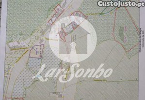 imagem_7