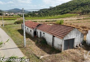 imagem_17