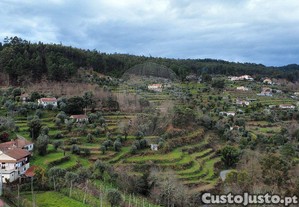 imagem_11