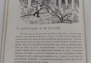 imagem_5