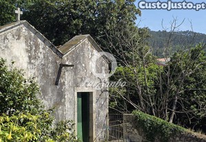 imagem_15