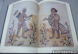 imagem_3