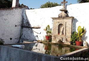 imagem_19