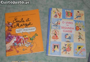 imagem_3