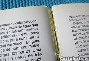 imagem_8