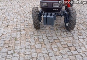 imagem_3