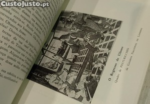 imagem_7
