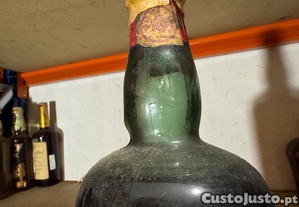 imagem_5
