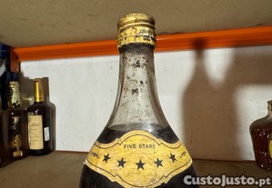 imagem_3