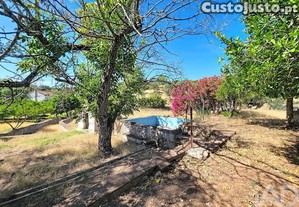 imagem_34
