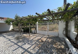 imagem_25