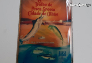 imagem_7