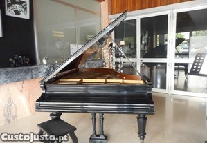 imagem_3