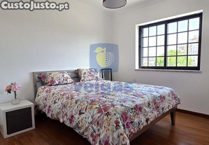 imagem_15