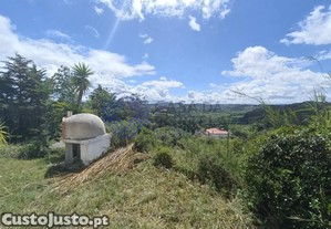 imagem_8