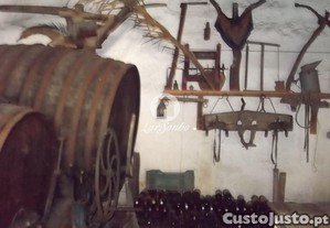 imagem_26