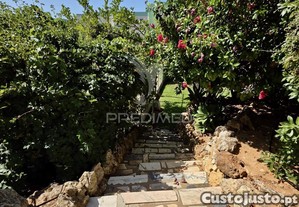 imagem_28