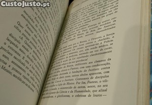 imagem_8