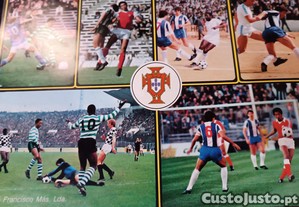 imagem_5