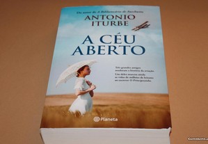 A Céu Aberto de Antonio Iturbe