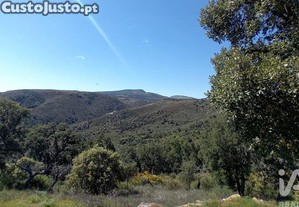 Terreno Agrícola em Mós