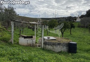 imagem_14