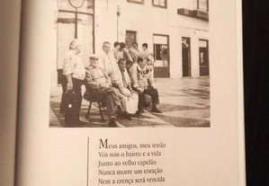 imagem_8