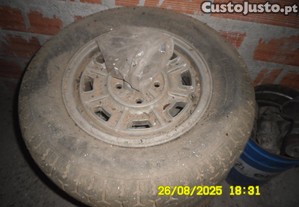 imagem_1