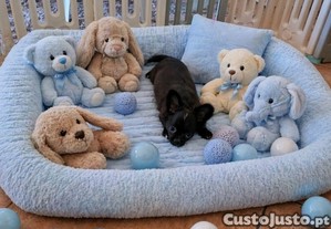 imagem_3