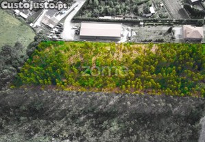 Terreno Rústico Com 7.900 M2 Em Monte Córdova -...