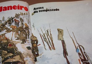 imagem_3