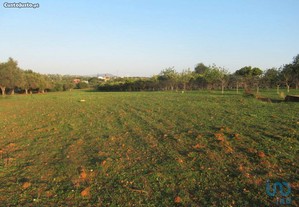 Terreno Agrícola em Faro de 7000,00 m²