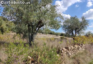 Terreno rustico com 4495 m²