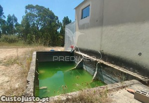 imagem_9