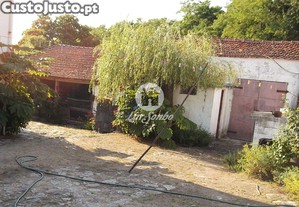 imagem_18