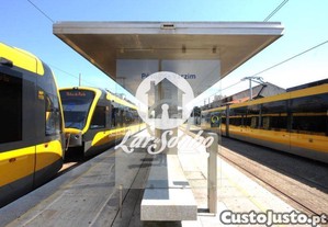 imagem_22