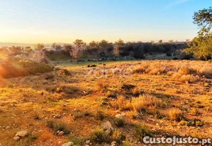 Terreno Rústico - Tunes, Silves | 1.480 M²