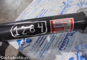 imagem_1