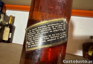 imagem_5