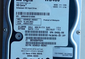 Disco Western Digital 40 Gb 3.5" IDE