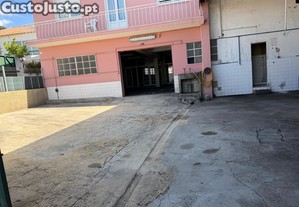 imagem_3