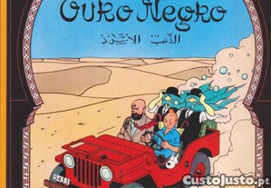 Bd Tintin No País do Ouro Negro Hergé Público 2003