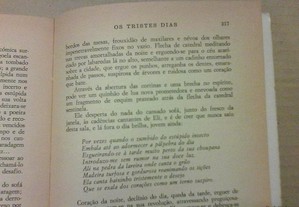 imagem_7