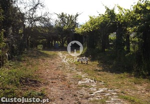 imagem_20