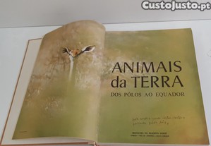 imagem_5